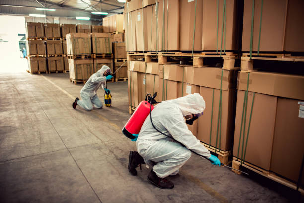 Best Residential Pest Control  in Hamlet, IN