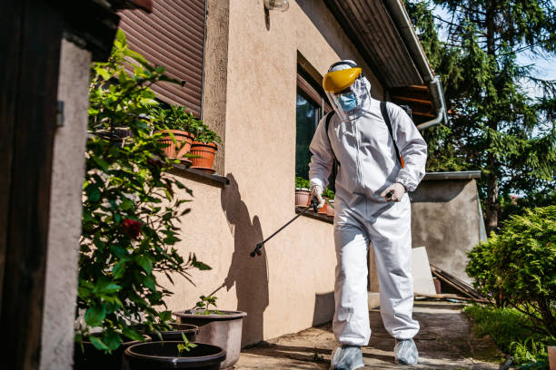 Wasp Removal Services in Hamlet, IN