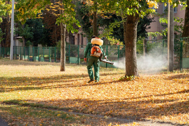 Best Flea Control Services  in Hamlet, IN