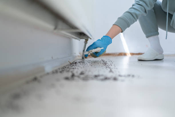 Best Wildlife Control Services  in Hamlet, IN