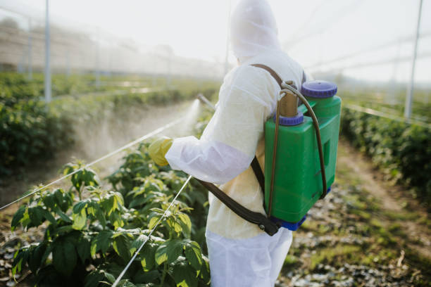 Best Cockroach Control Services  in Hamlet, IN